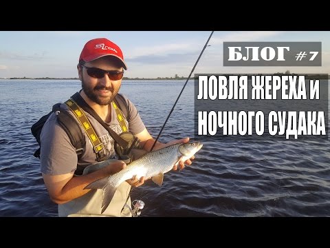 видео тактика ловли судака на видео тактика ловли судака на