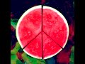 PEACE - California Daze