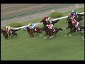 ディープインパクト フィギュア 第５３回 神戸新聞杯 Amazon.co.jp: 第53回神戸新聞杯 ディープインパクト ぬいぐるみ
