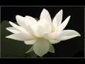 White Tara Mantra (108 Repetitions)