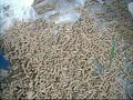 Máquina para hacer pellets de alfalfa, madera y alimentos balanceados pellets Mill Argentina