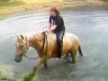 Swimming on Horseback