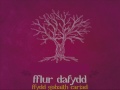 Fflur Dafydd - Ffydd Gobaith Cariad