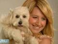 ashley tisdale love me for slideshow high school musical sharpay evans the suite life zack and cody 
