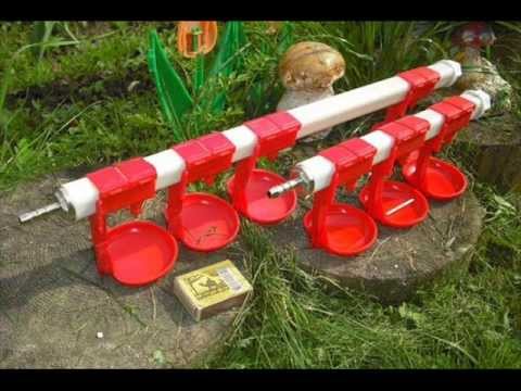 Клетка для перепелов чертежи и фото Клетка для перепелов чертежи и фото