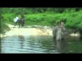 Taman Nasional Tesso Nilo