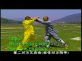 Shaolin DaHong Boxing by Shi De Yang DVD + Book DW144-05eB