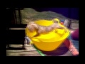 Dogs just don't want to bath - Funny dog bathing compilation