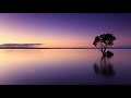 Launch Mini Player