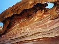 PETRA (Jordan)