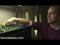 Backyard aquaponics: DIY system to farm fish with vegetables