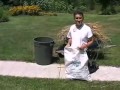 Growing Wheat in your home garden.mov