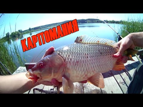 рыбалка 2017 новинки видео на карпа рыбалка 2017 новинки видео на карпа