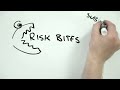 Hazard vs Risk - Same Difference?