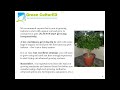 Ten Indoor Medical Marijuana Growing Tip (s)