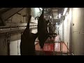 Video Tour of Beef Plant Featuring Temple Grandin