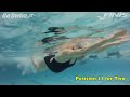 Freestyle - Position 11 for Two