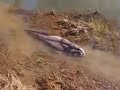 Strange Creatures 2012!! Amazing Video