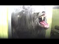 FULL An American Werewolf in London haunted house at Halloween Horror Nights 2013, Universal Orlando