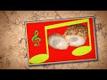Il futuro siamo noi! IL PAGNUT BIO/VEGAN