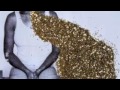 Santogold - You'll Find a Way (Switch + Sinden Remix)