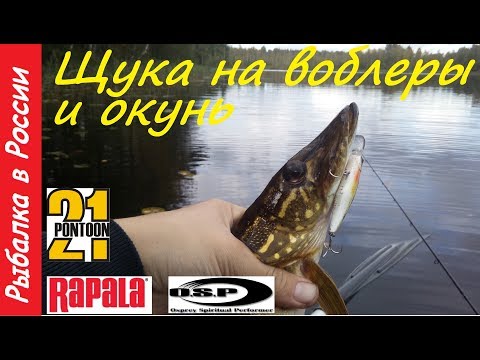 ловля щуки воблерами миноуг ловля щуки воблерами миноуг