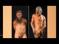 When Neanderthals and Modern Humans Meet - 2015