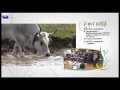 'L'Agorà' - Special TV report on the Grasslands Project and the participatory process