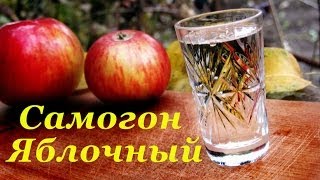 настойка из слив рецепт приготовления в домашних условиях