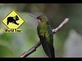 Quakers In Latin America - Videos Quakers In Latin America - Videos