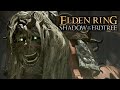   Elden Ring - Shadow of the Erdtree #1