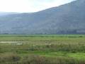 ahola valley in israel (עמק החולה ישראל)