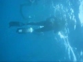 Parea.wmv