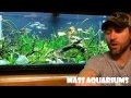 The Fish Tank Community - Most Difficult/Toughest thing about Planted Tanks?