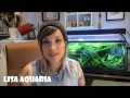 The Fish Tank Community - Most Difficult/Toughest thing about Planted Tanks?