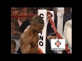 Brutal Boxing Knockouts!!