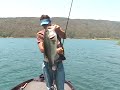 Bass fishing Lunker Punker Swimbait California Bass fishing