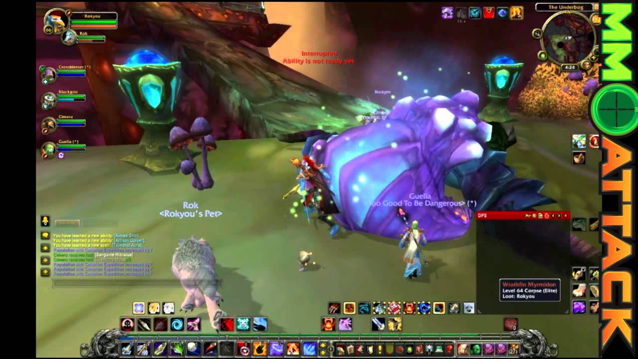 WoW Gameplay Video