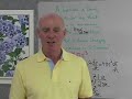 Calculus: Related Rates 1