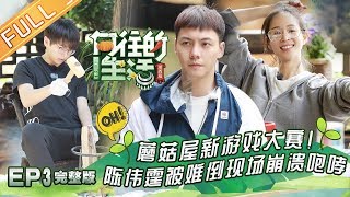 《向往的生活3》第03期 完整版:陈伟霆在线健身教学组养生局 蘑菇屋新游戏弄懵张钧甯 Back To Field S3 EP3 《向往的生活3》第03期 完整版:陈伟霆在线健身教学组养生局 蘑菇屋新游戏弄懵张钧甯 Back To Field S3 EP3