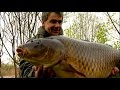 CARP FISHING - NASH TV - KEVIN NASH - 50LB 8OZ UK COMMON CARP - FROM 'KEVIN NASH - IN PURSUIT '