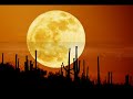 Astronomy Picture Favorites from A P O D