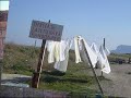 frasi e cartelli; comicità.wmv