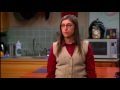 The Big Bang Theory 6x21 - The Closure Alternative