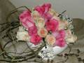 MY FAVORITE FLOWERS: ROSES & COLORS
