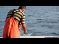 PescaTUrismo 2016