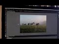 Photoshop basics - recomposing a photo