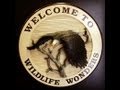 Turtle Gifts & Wall Decor at Wildlife Wonders