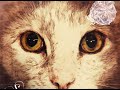 Tube & Berger - Imprint Of Pleasure (Original Mix)