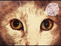 Tube & Berger - Imprint Of Pleasure (Original Mix)